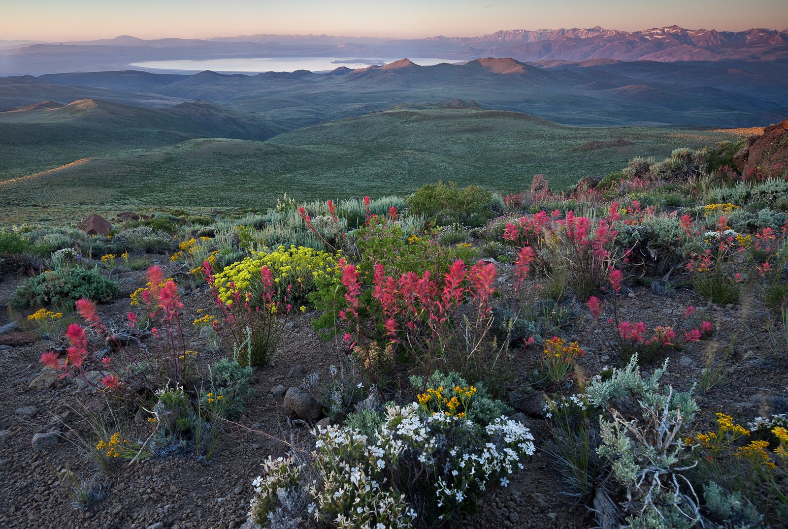 IPBES Data Changes Decisions Only When It Reaches Local Levers