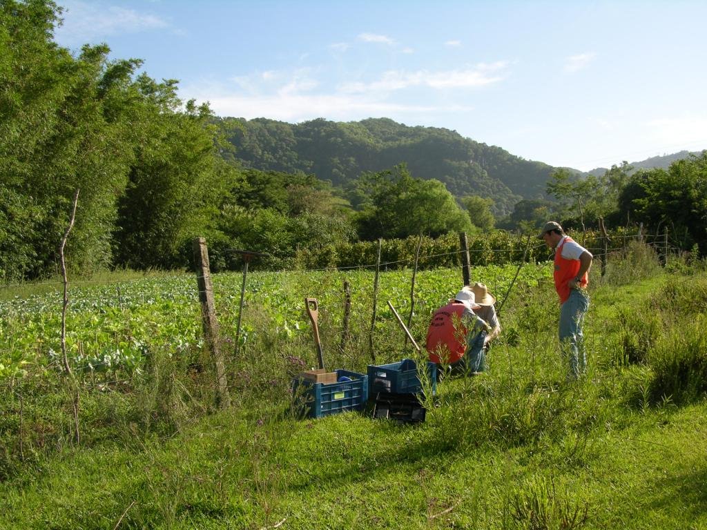 Soil Health Is the Quiet Foundation of Food Security