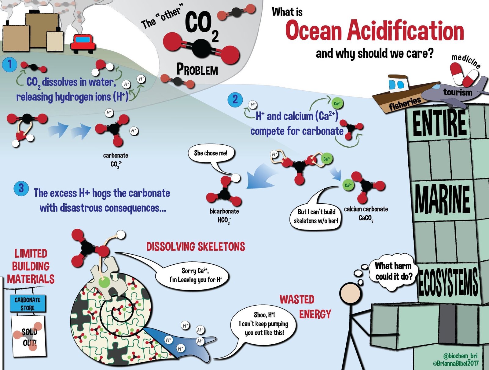 Ocean Acidification Is the Other Carbon Problem